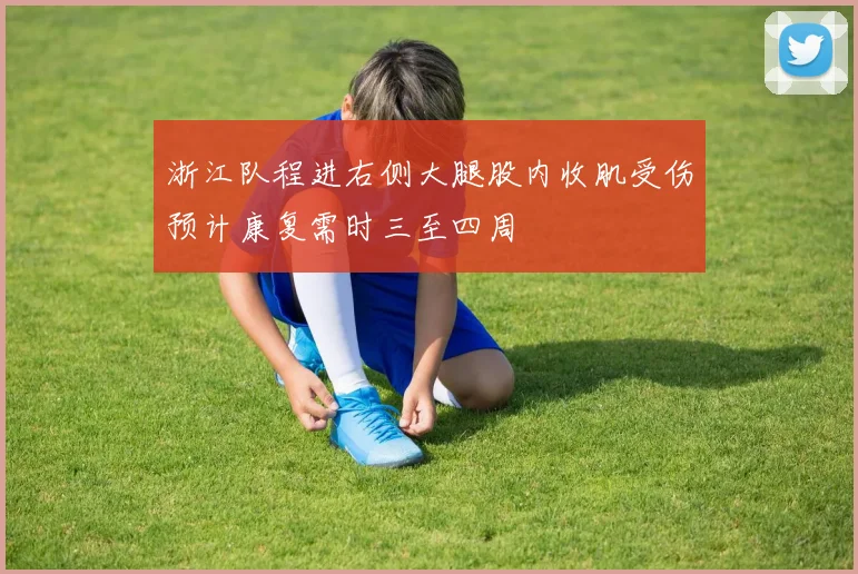 浙江队程进右侧大腿股内收肌受伤预计康复需时三至四周