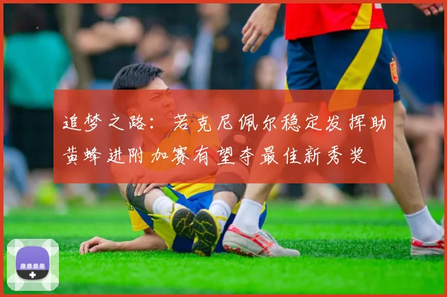 追梦之路：若克尼佩尔稳定发挥助黄蜂进附加赛有望夺最佳新秀奖