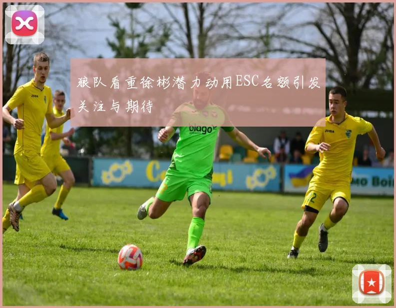 狼队看重徐彬潜力动用ESC名额引发关注与期待
